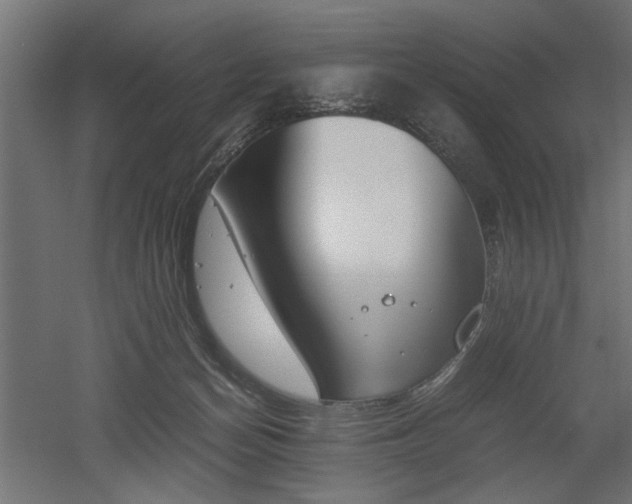 X0000052610174200507011237