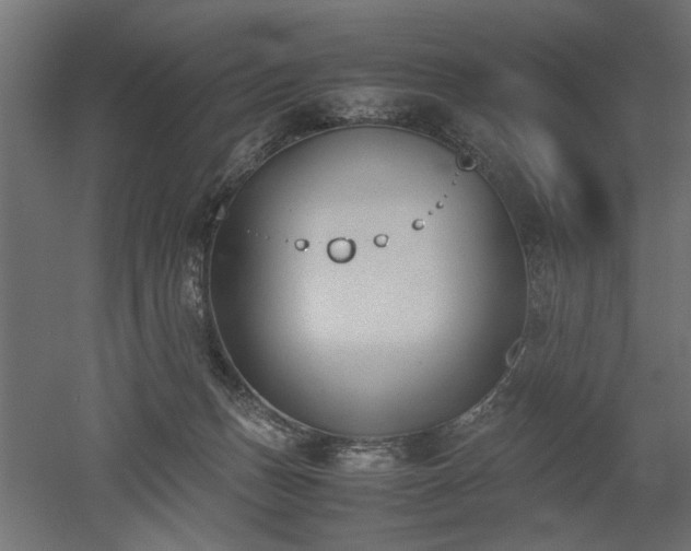 X0000052610175200507011237