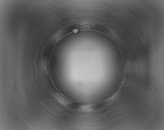 X0000052610178200507011237