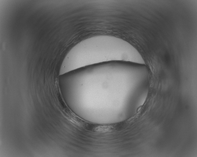 X0000052610179200507011237