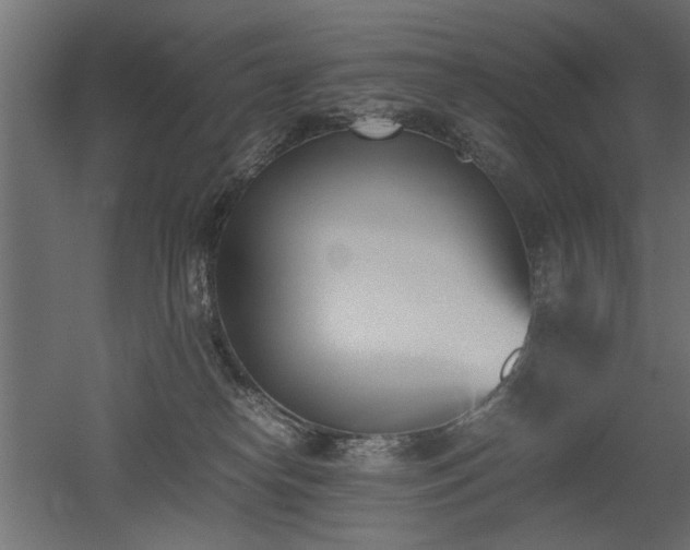 X0000052610182200507011237