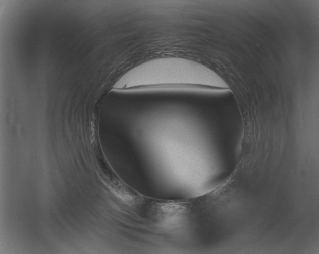 X0000052610183200507011237