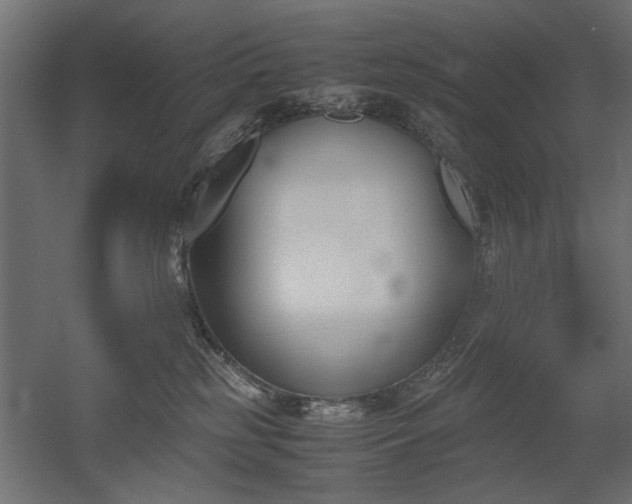 X0000052610185200507011237