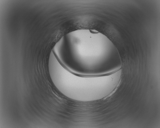 X0000052610186200507011237