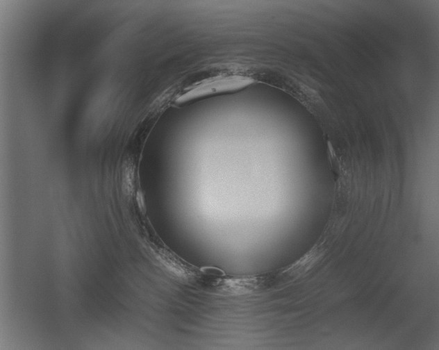 X0000052610188200507011237