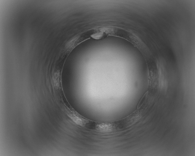 X0000052610189200507011237