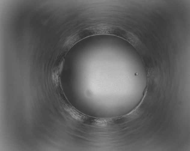 X0000052610190200507011237