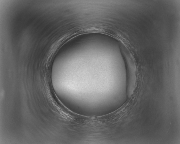 X0000052610193200507011236