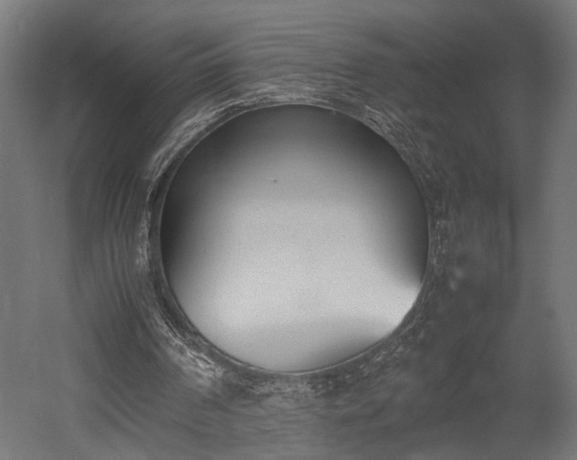 X0000052610194200507011236