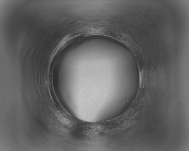 X0000052610195200507011236