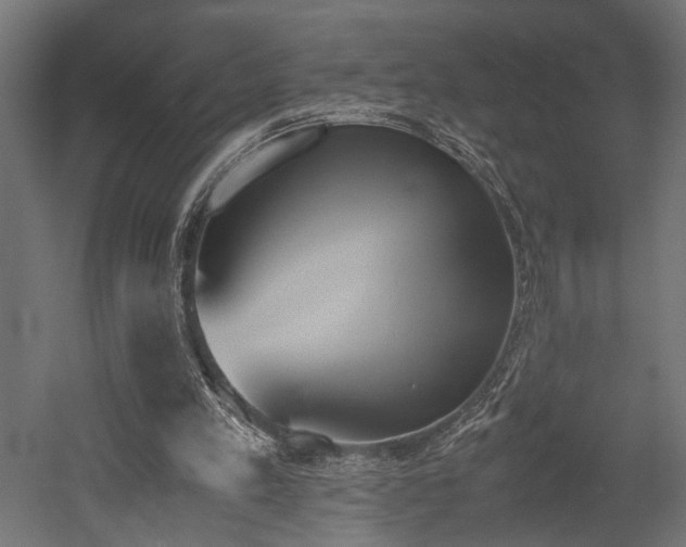 X0000052610197200507011236