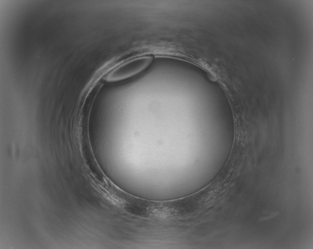 X0000052610199200507011236