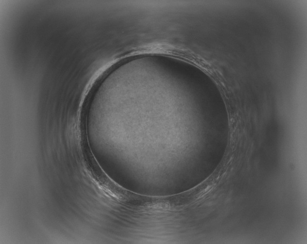 X0000052610200200507011236