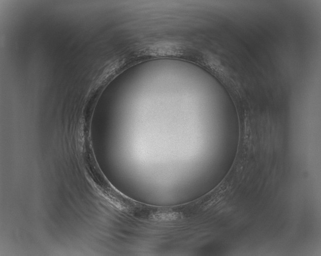 X0000052610202200507011236