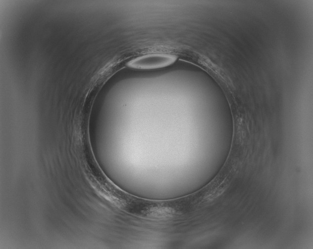 X0000052610203200507011236