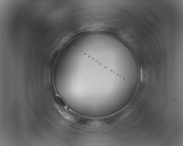 X0000052610205200507011236