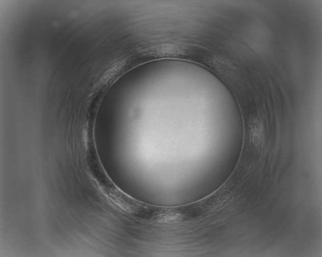 X0000052610206200507011236