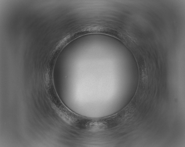 X0000052610208200507011236