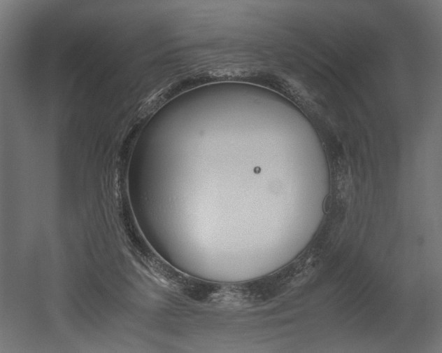 X0000052610211200507011236