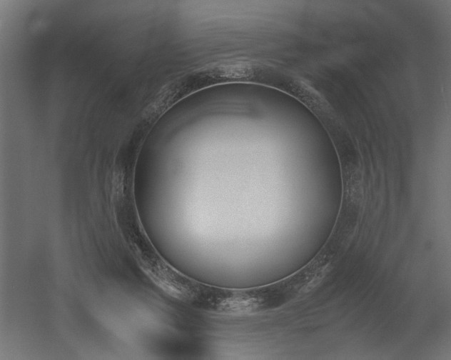 X0000052610213200507011236