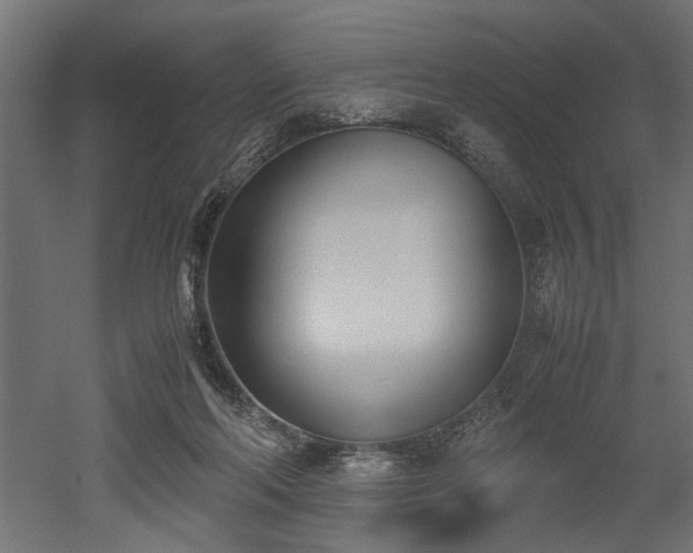 X0000052610214200507011236