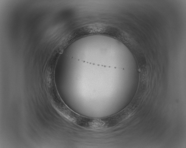 X0000052610215200507011236