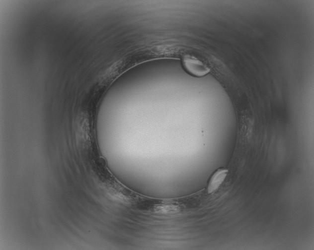 X0000052610220200507011236