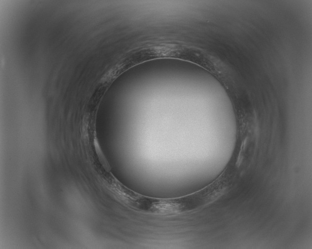 X0000052610221200507011236