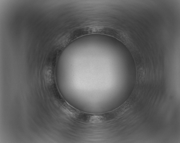 X0000052610222200507011236