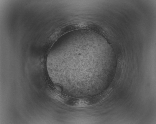 X0000052610223200507011236