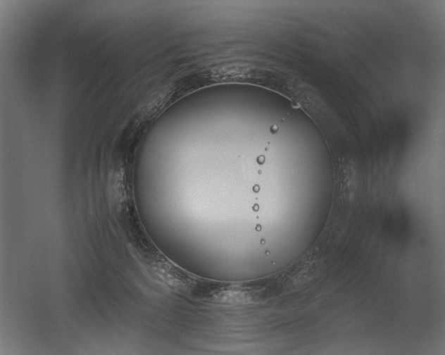 X0000052610224200507011236