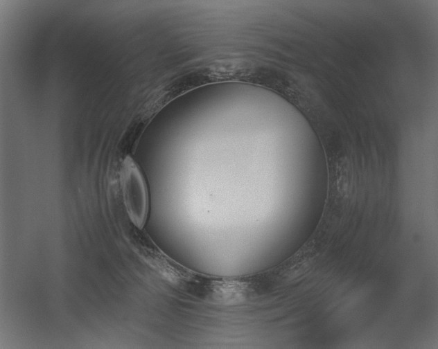 X0000052610226200507011236