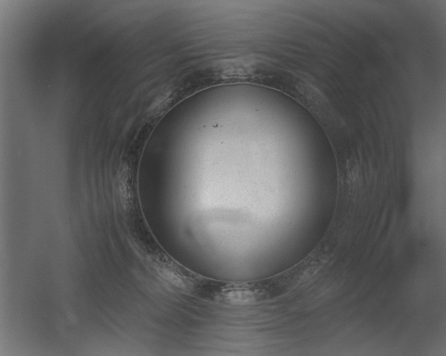 X0000052610228200507011236