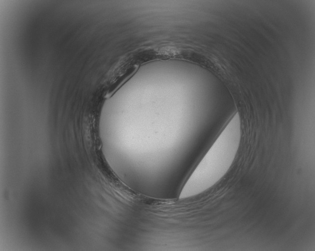 X0000052610229200507011236