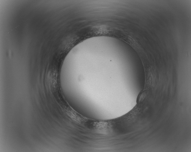 X0000052610230200507011236