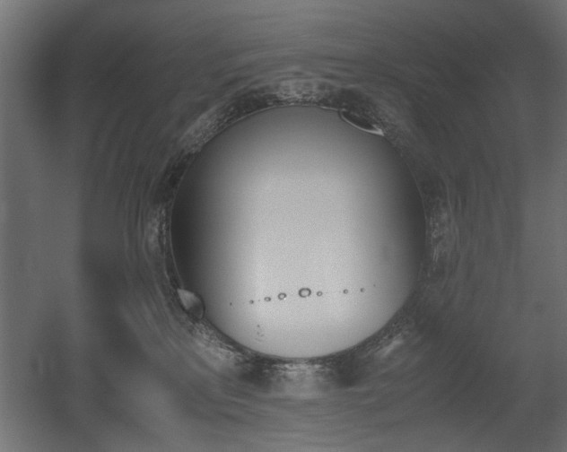 X0000052610233200507011236