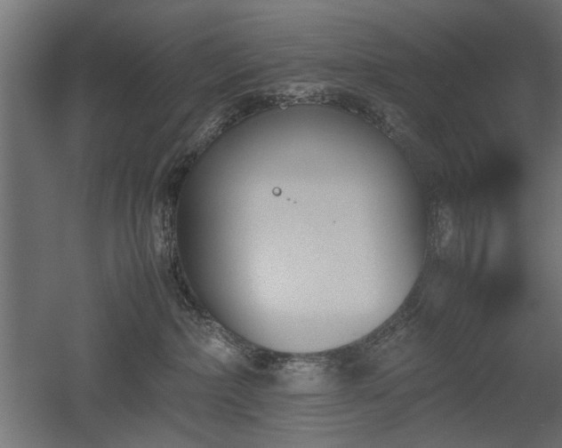 X0000052610236200507011235