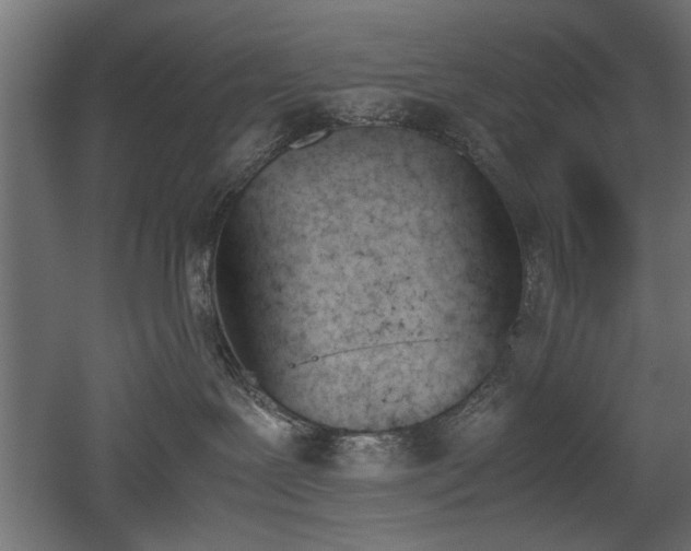 X0000052610239200507011235