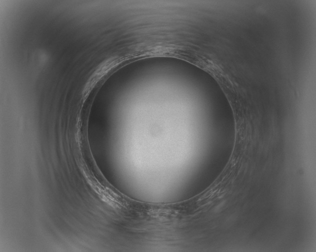 X0000052610242200507011235