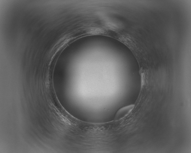 X0000052610243200507011235