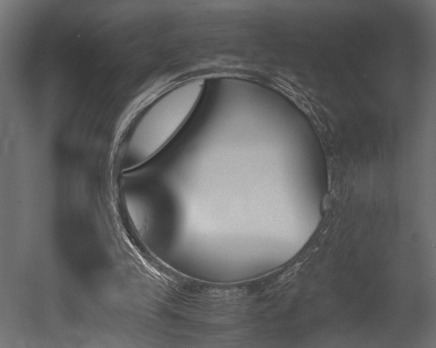 X0000052610245200507011235