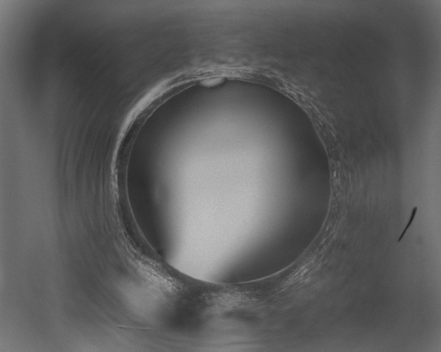 X0000052610246200507011235