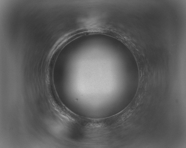 X0000052610247200507011235