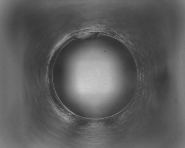 X0000052610248200507011235