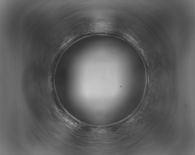 X0000052610249200507011235