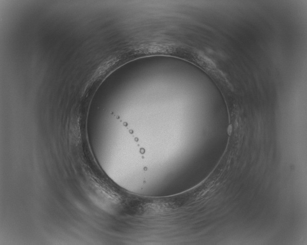 X0000052610250200507011235