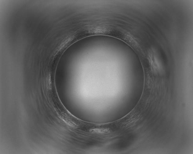 X0000052610251200507011235