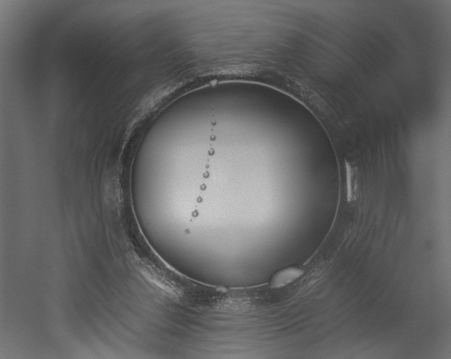 X0000052610252200507011235