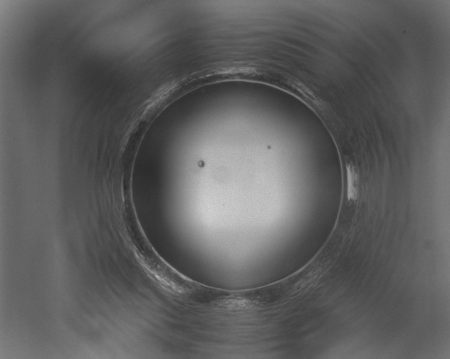 X0000052610253200507011235