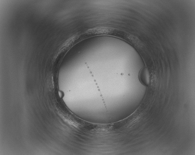 X0000052610254200507011235